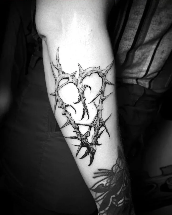 Corazón de espinas — Schusther Navarro